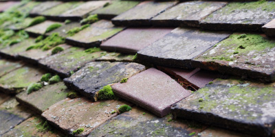 Petsoe End roof repair costs